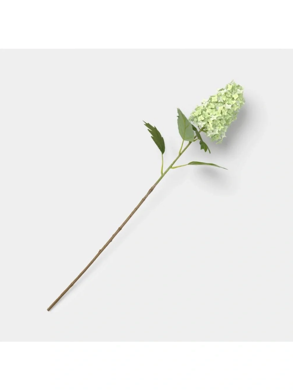 Threshold Set of 2 Green Hydrangea Branches